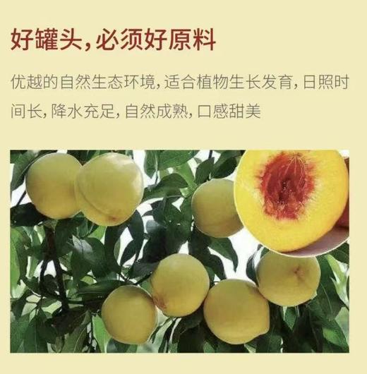 1.25kg我得黄桃罐头 优选黄桃产地 行业领军工厂  净化配方  配料更干净  从采摘到车间不超6小时  0安赛蜜0阿斯巴甜 跟着我得吃健康罐头 商品图2
