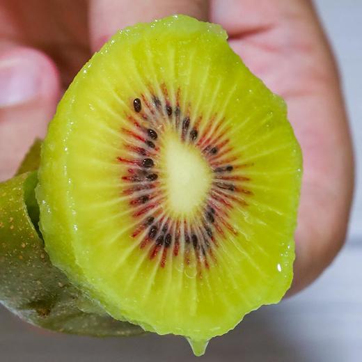 【四川蒲红心猕猴桃】新鲜采摘 自然成熟 细嫩多汁 商品图2