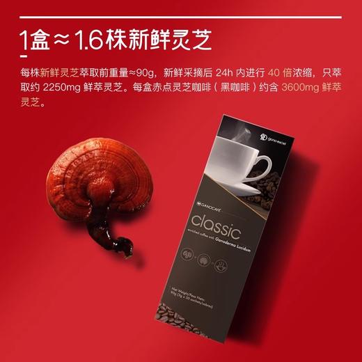 GanoExcel赤点灵芝黑咖啡鲜萃灵芝咖啡健身浓缩进口咖啡30杯装 商品图2