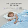 罗莱儿童XS 艺术 W-A类莱赛尔抗菌蚕丝被-夏 鲸鱼城堡  蓝色 120×150cm 商品缩略图1