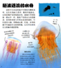《DK翻开海洋动物》 商品缩略图8