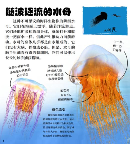 《DK翻开海洋动物》 商品图8