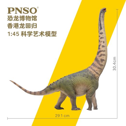 PNSO恐龙博物馆香港龙回归1:45科学艺术模型 商品图2