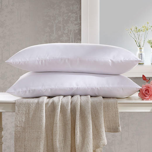 罗莱T 制对枕  47×73cm 商品图7