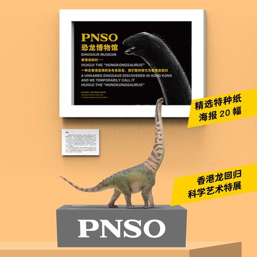 PNSO恐龙博物馆香港龙回归1:45科学艺术模型 商品图4
