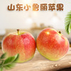 2025新果 山东小鲁丽苹果 新鲜应季脆甜红嘎啦苹果当季脆甜 商品缩略图0