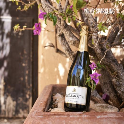 Delamotte Blanc de Blancs 德乐梦白中白香槟 375ml&750ml&1500ml 商品图2