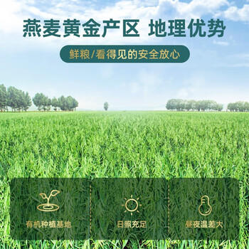 阴山优麦有机裸燕麦片1000g桶装 高蛋白膳食纤维 0添加蔗糖 免煮 营养早餐 /水饮冲调 /冲饮谷物 /麦片 商品图6
