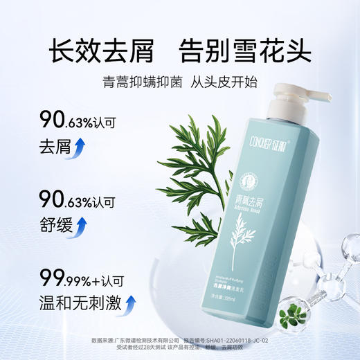 【双重青蒿复配  协同作用功效加乘】征服小胶蓝头皮精华 多重护肤级精华 护肤一样护头皮 商品图2