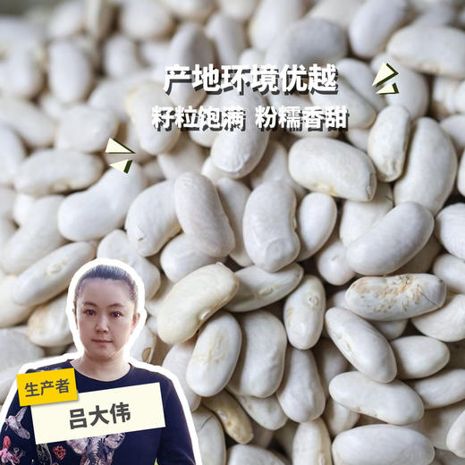 有机白芸豆 | 合作生产*Organic  White Kidney Bean | Coproduction 商品图0