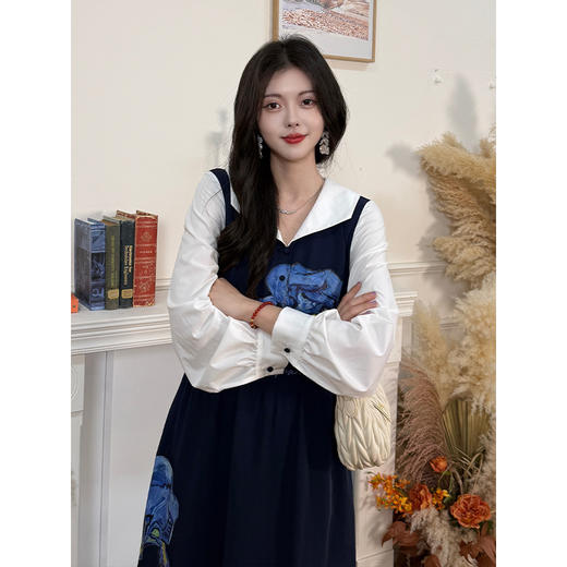 两三事梵高文艺鸢尾诗行2025秋新款刺绣翻领拼色印花假两件连衣裙 商品图3