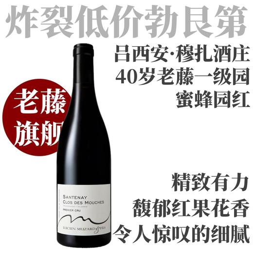 【精致有力·40年老藤旗舰一级园“蜜蜂园”】2023 吕西安穆扎父子酒庄桑特奈一级园蜜蜂园干红Lucien Muzard Santenay 1er Cru Clos des Mouches Rouge 商品图0