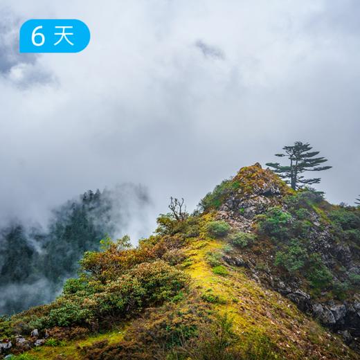新线首发｜阿布吉措山脊线 雪山牧场海子群 云南香格里拉秘境50公里大穿越  6日 商品图10