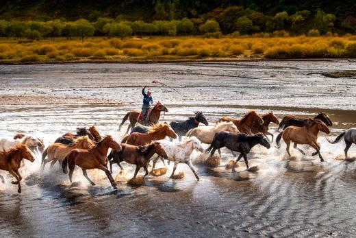 9月【坝上金秋画廊】穿越乌兰布统•金山岭长城7天风光摄影 商品图1