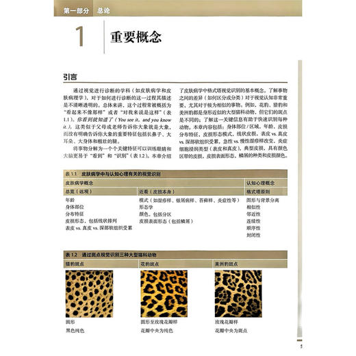 皮肤病学：视觉识别和病例分析 周城 主译 涵盖近乎全部病种的高质量临床及病例图像等 9787565933714 北京大学医学出版社 商品图4