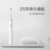 米家 小米电动牙刷 声波震动 磁悬浮马达 两档模式 25天续航 美国杜邦软毛刷头 T300 /家用电器 /个护健康 /电动牙刷 商品缩略图4