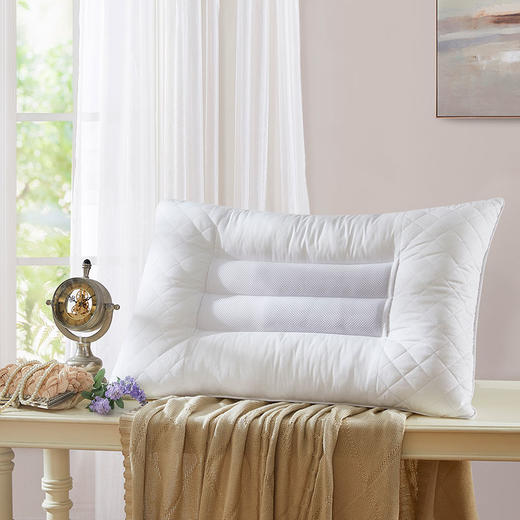 罗莱T 罗莱薰衣草荞麦壳安睡枕 46×72cm 商品图0