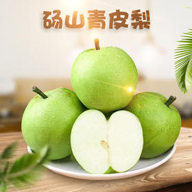 安徽砀山梨 酥脆一号新鲜应季青皮梨 脆甜多汁孕妇水果