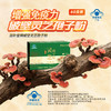 象记灵芝孢子粉60克/盒每100克含多糖3.5克，三萜12克/高含量 商品缩略图4