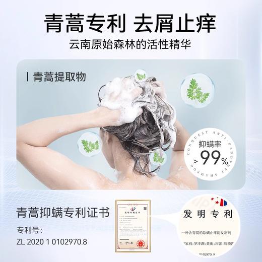 【双重青蒿复配  协同作用功效加乘】征服小胶蓝头皮精华 多重护肤级精华 护肤一样护头皮 商品图5