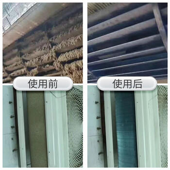 蓝洁星（LANJIEXING）空调清洗剂500ml*2瓶 除菌家用免拆洗汽车空调清洁剂杀菌99% /家庭清洁/纸品 /家庭环境清洁 /空调清洁剂 商品图2