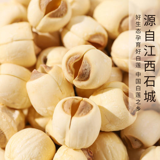 北纬纯净食品|38°江西石城甄选白莲子富硒去芯莲子粉糯无硫不漂白220g 商品图1