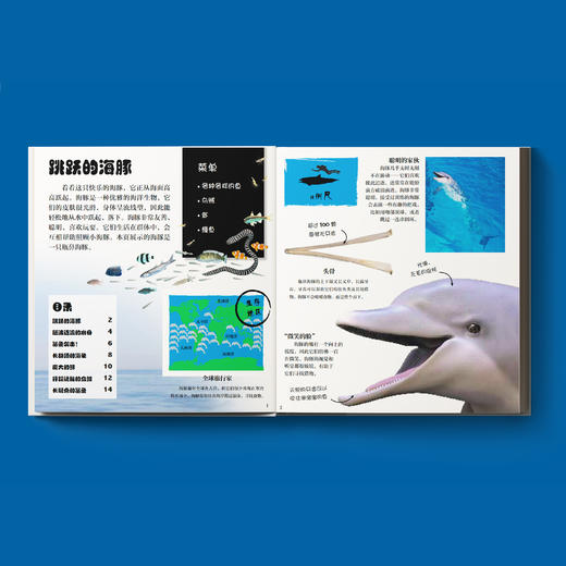 《DK翻开海洋动物》 商品图2