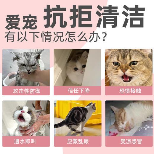 复新微控-宠物免洗清洁手套-费洛蒙珍珠纹悦心款 商品图1