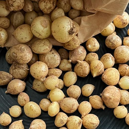 生态薤白（野葱/小根蒜） | 合作生产 * Ecological Allii Macrostemonis Bulbus | Partner Production 商品图1