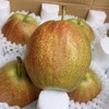 【严选】山东多彩魅梨 新鲜皮薄多汁媚梨7号香梨 商品缩略图1