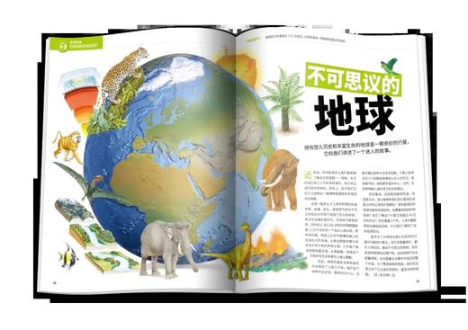 万物  2025年9月-2026年8月 商品图2