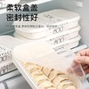 小冰箱饺子馄饨盒家用食品级材质饺子盒收纳保鲜可叠放省空间 商品缩略图4