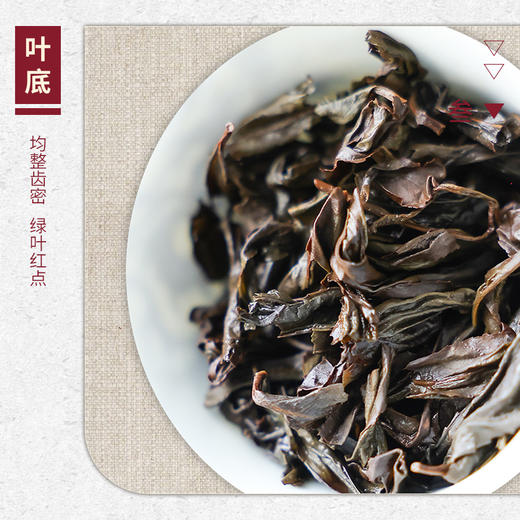 【山纯限品】2025年023天心岩老树肉桂17g 商品图4