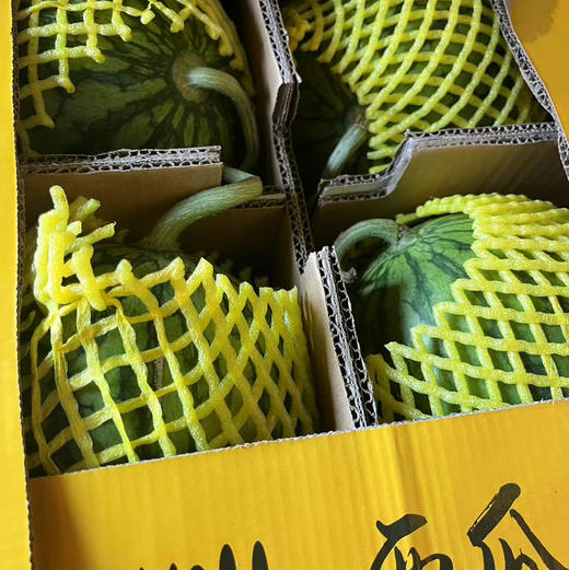 【限量爆款牛奶·黄金冰淇淋小西瓜】～（黄心麒麟瓜限量版）几乎无籽，拥抱口感无限可能正宗东台货，王者口感，打破认知禁锢。停不下来的小西瓜 商品图5