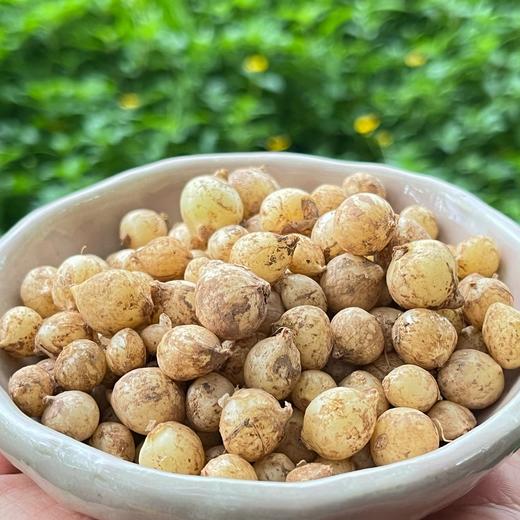 生态薤白（野葱/小根蒜） | 合作生产 * Ecological Allii Macrostemonis Bulbus | Partner Production 商品图2
