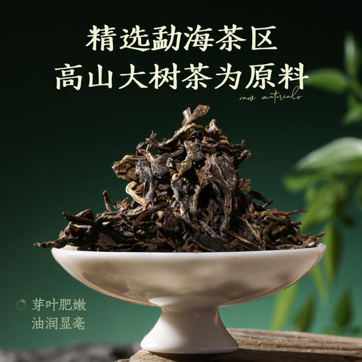 陈升号 2025年陈升一号200g（生茶） 商品图1