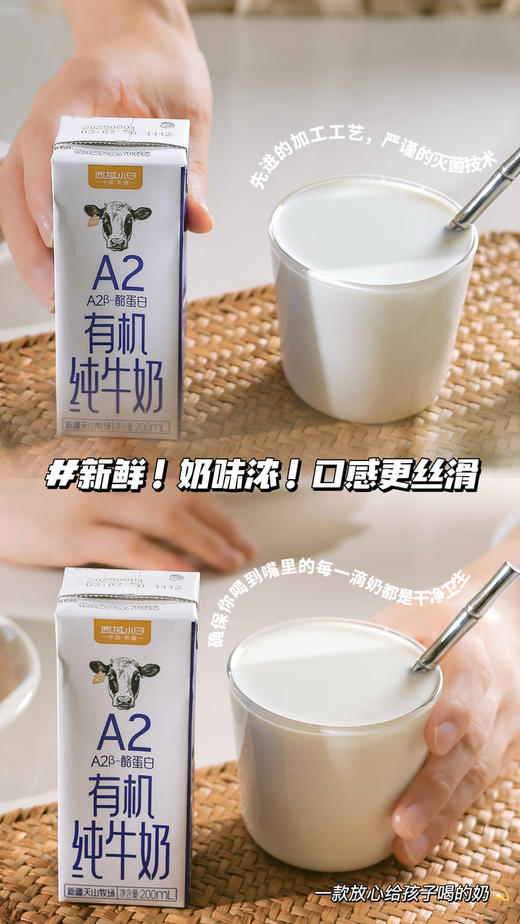 西域小白 有机纯牛奶200ml*16盒 商品图3
