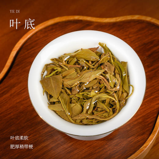 懂茶帝大师茶国非遗韦洁群2022年老树社前六堡茶（古树茶）50g/罐 商品图2