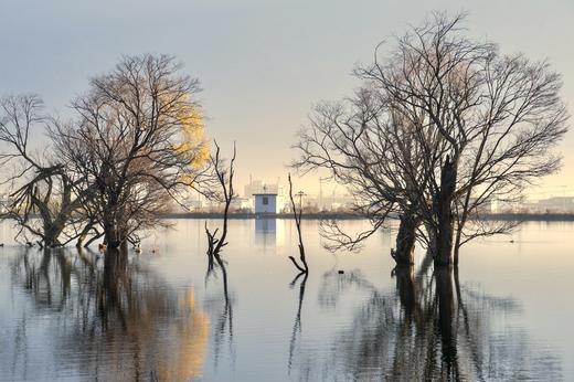 西南·滇藏线秋色（越野车）：丙察察+墨脱+波密+林芝+拉萨13天 商品图7