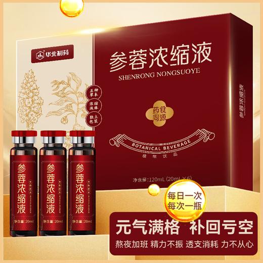 参蓉浓缩液  滋补养生 买二送一 商品图2