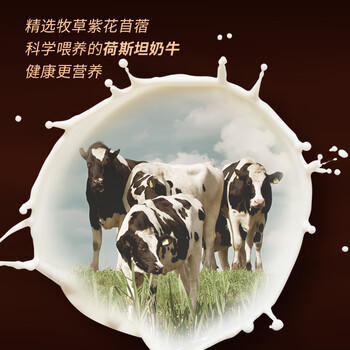 中街1946榛子巧克力轻享装50g*10支 棒支儿童冰淇淋 榛子 巧克力口味 /水饮冲调 /冰淇淋 /棒支冰淇淋 商品图4