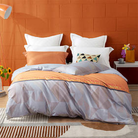 罗莱T 冰岛暖洋全棉磨毛四件套 200×230cm