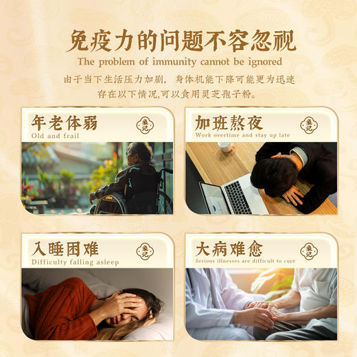 象记灵芝孢子粉60克/盒每100克含多糖3.5克，三萜12克/高含量 商品图3