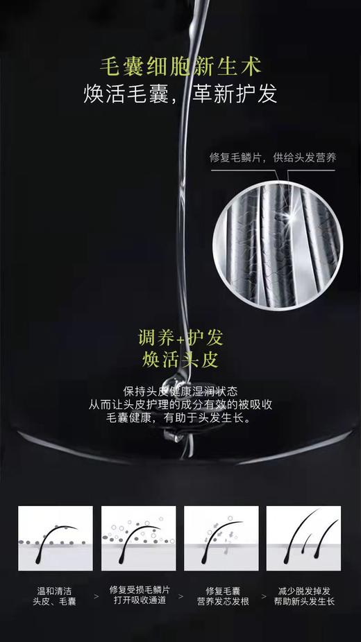 【中欧班列】日本进口卡蓓诺育发护发素男女（基础型） 350ML/瓶 hm 商品图2