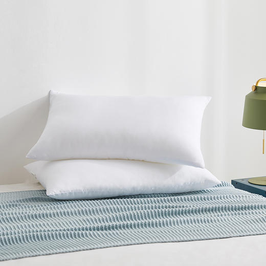 罗莱T A类防螨抗菌对枕 47×73cm 商品图0