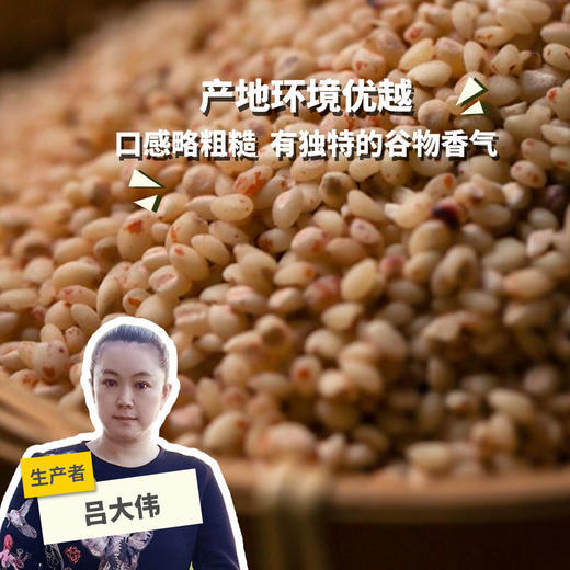 有机红高粱米 | 合作生产*Organic  Red Sorghum | Coproduction 商品图0