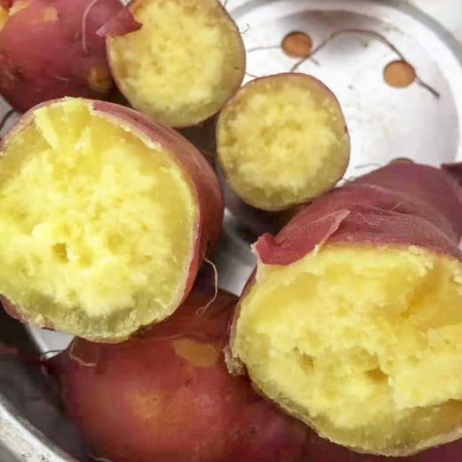 现挖现发！【新鲜美味，营养丰富，软糯香甜~】正宗板栗红薯 新鲜现挖 农家自种黄心地瓜 沙地鸡蛋黄番薯 红色外衣包裹金色果肉 藏不住的薯味-QB 商品图3