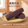 北纬47°黑甜糯玉米棒2.4斤(200g*6根)东北鲜黏糯玉米棒真空包装 早餐苞米 /粮油调味 /杂粮 /谷米类 商品缩略图2