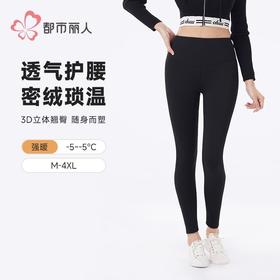 都市丽人保暖裤锦纶女士打底裤可外穿打底裤厚九分女裤LLH4B5