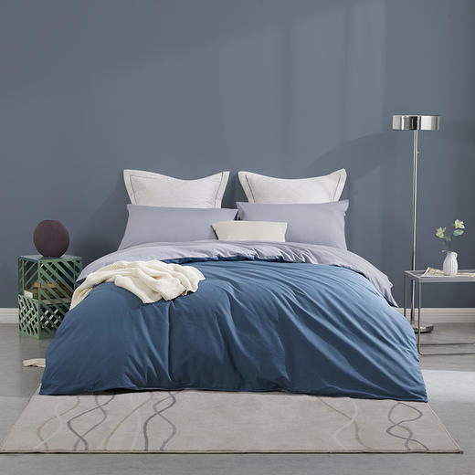 罗莱T 诺曼 全棉四件套 200×230cm 商品图0